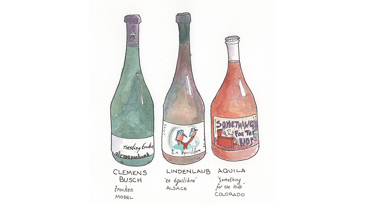 Inintention Riesling Class Recap: “Riesling” – Children's Atlas of Wine