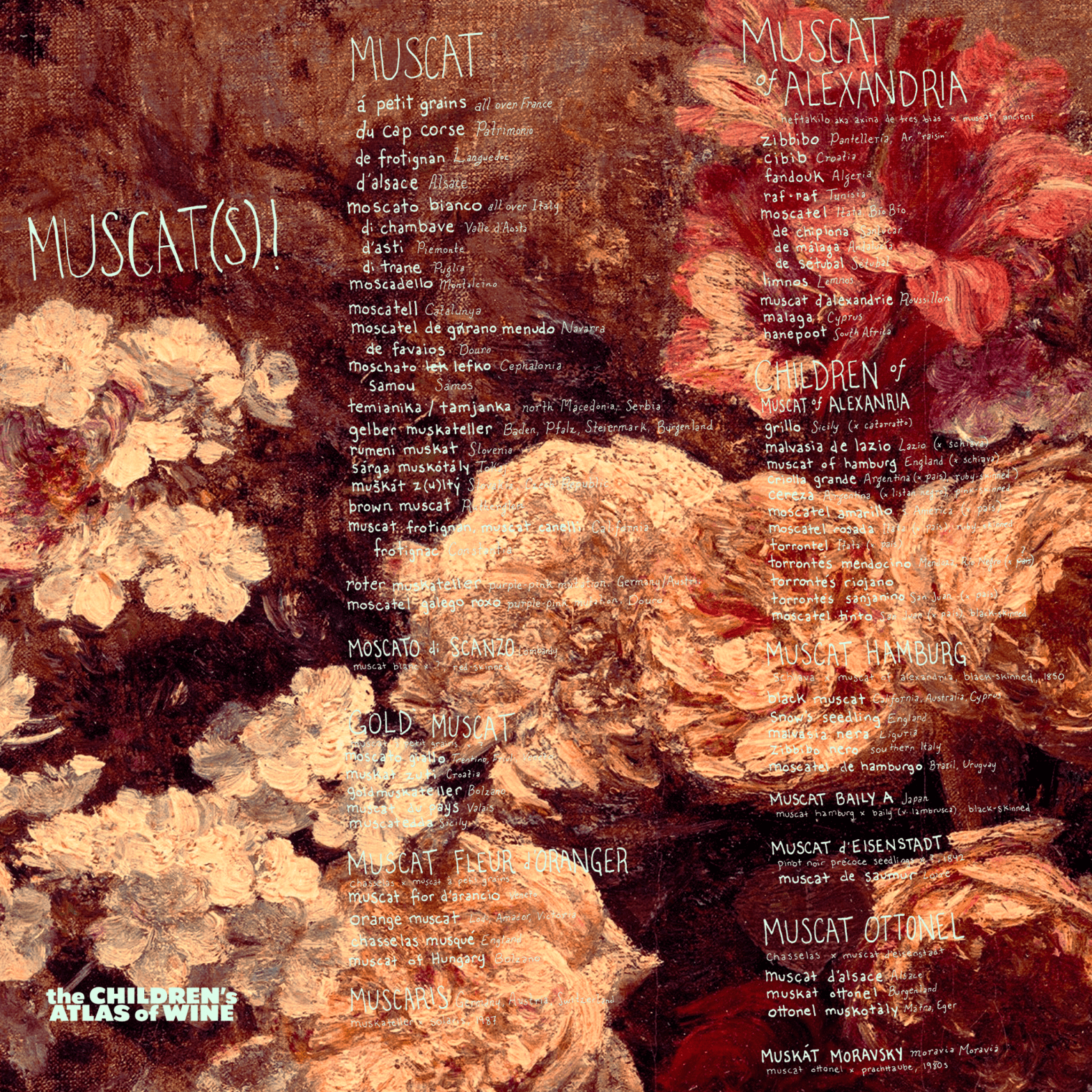 Grape Files: Muscat(s)! – Children's Atlas of Wine